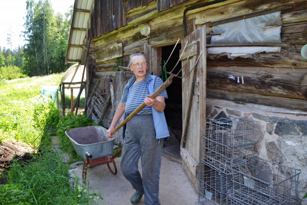 Te filmēja “Limuzīnu Jāņu nakts krāsā”