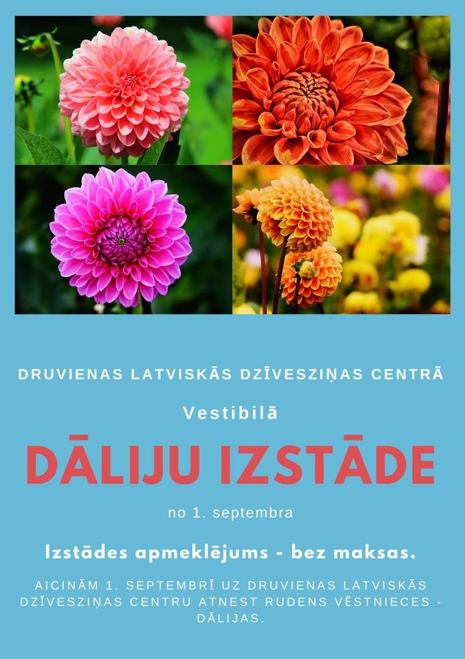 Dāliju izstāde