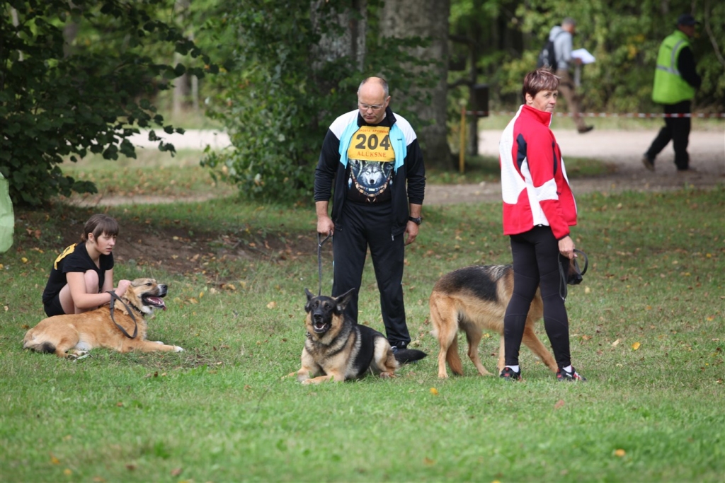 FOTO: "Stipro skrējiens ar suni" Velēna