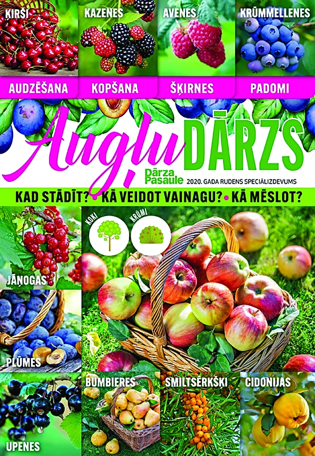 Konkurss - “Augļu dārzs”
