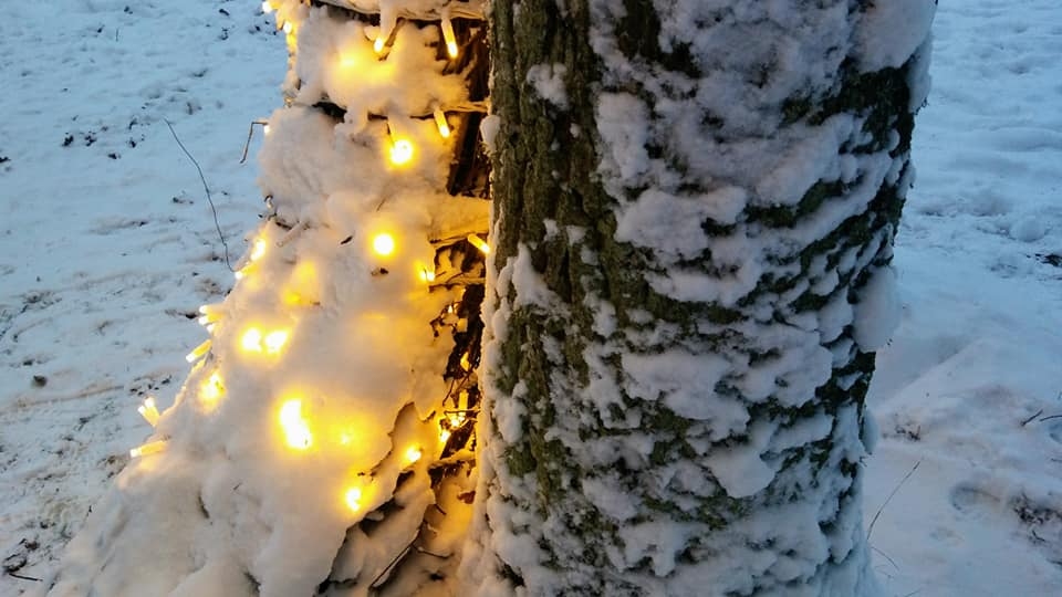 Ziema Spārītes parkā Gulbenē (26.decembris)