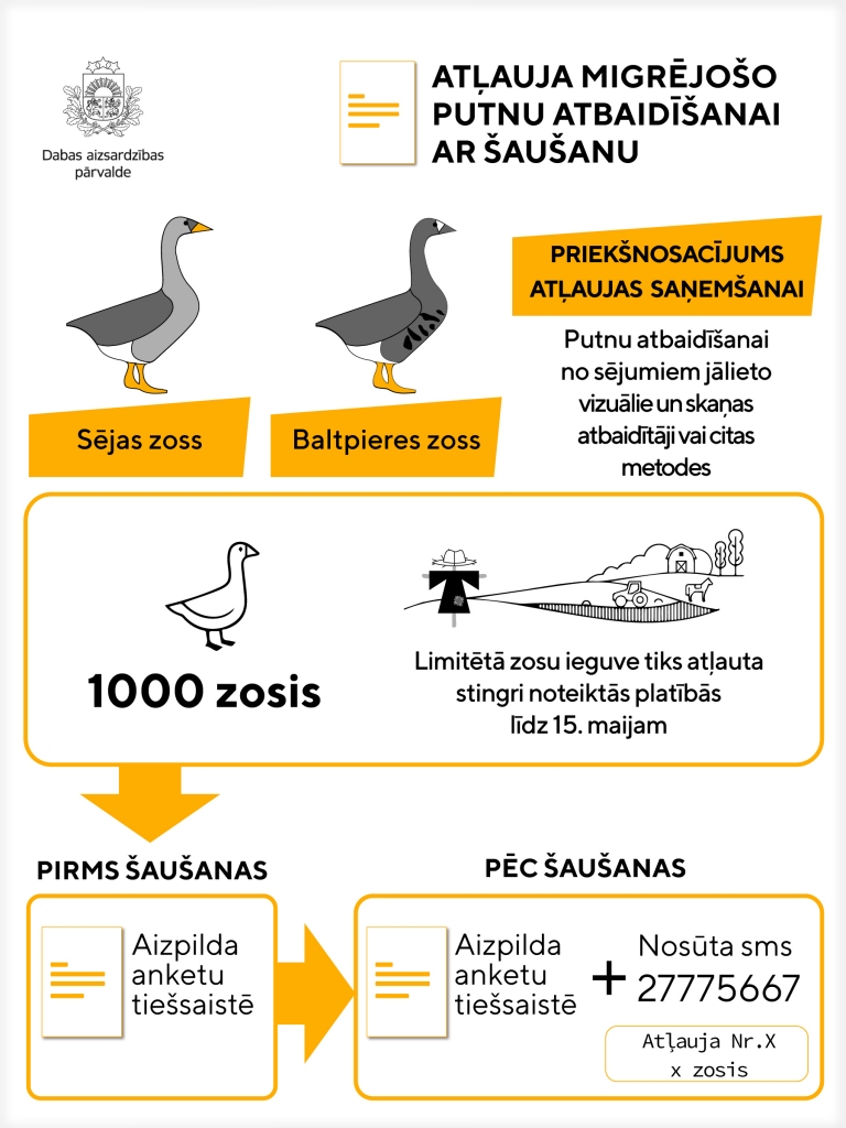 Zemnieku saimniecības varēs saņemt atļaujas migrējošo zosu atbaidīšanai no sējumiem