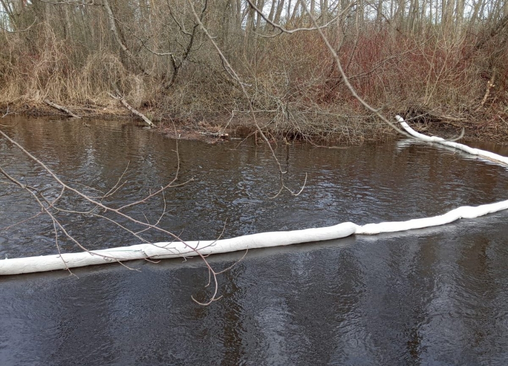 Vides piesārņojums Rēveļos pie Gaujas tilta nav konstatēts (labots)