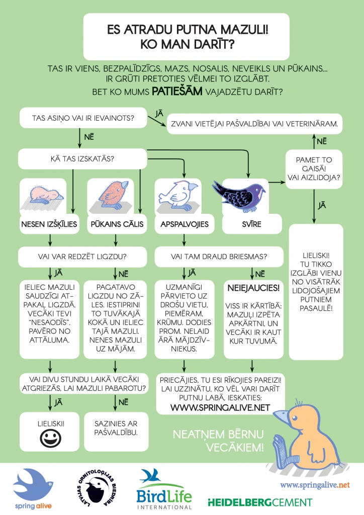 Ornitologi atgādina, ka putnu mazuļi nav jāglābj
