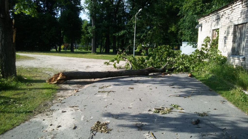 Jūnijā astoņās novērojumu stacijās pārspēts mēneša karstuma rekords, arī Gulbenē