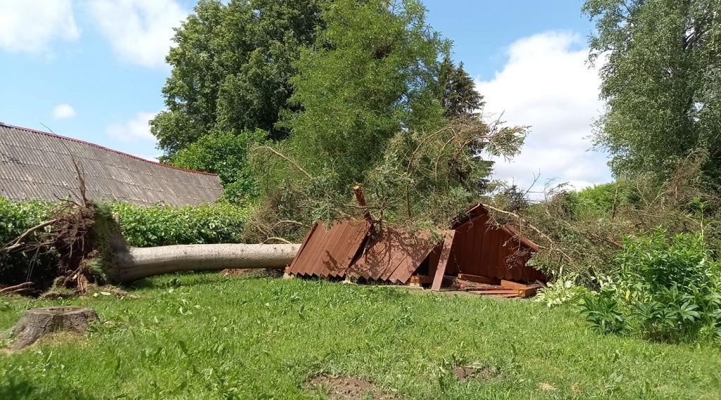 Ziedu un dažādību mēneša – jūnija lapas