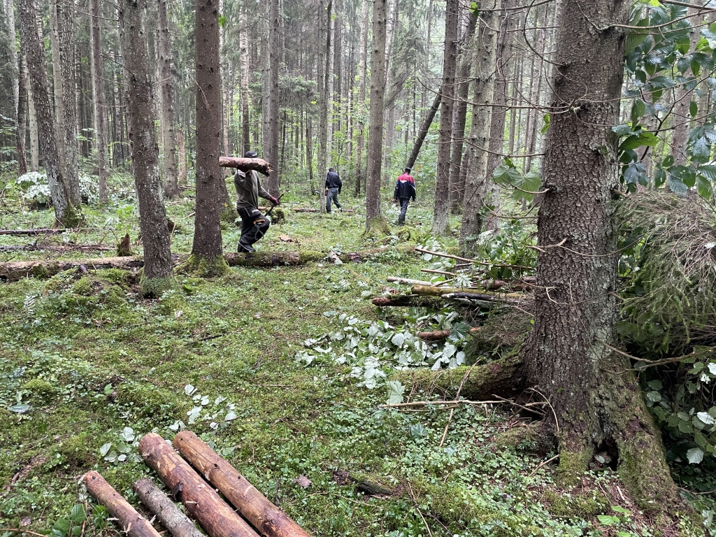 Gulbenē Emzes un Spārītes parkā rit apjomīgi sakopšanas darbi (papildināts)