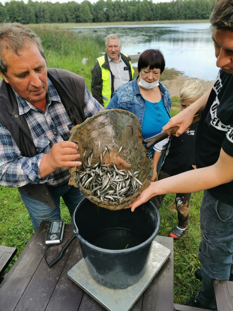 Četros novada ezeros atjauno zivju resursus