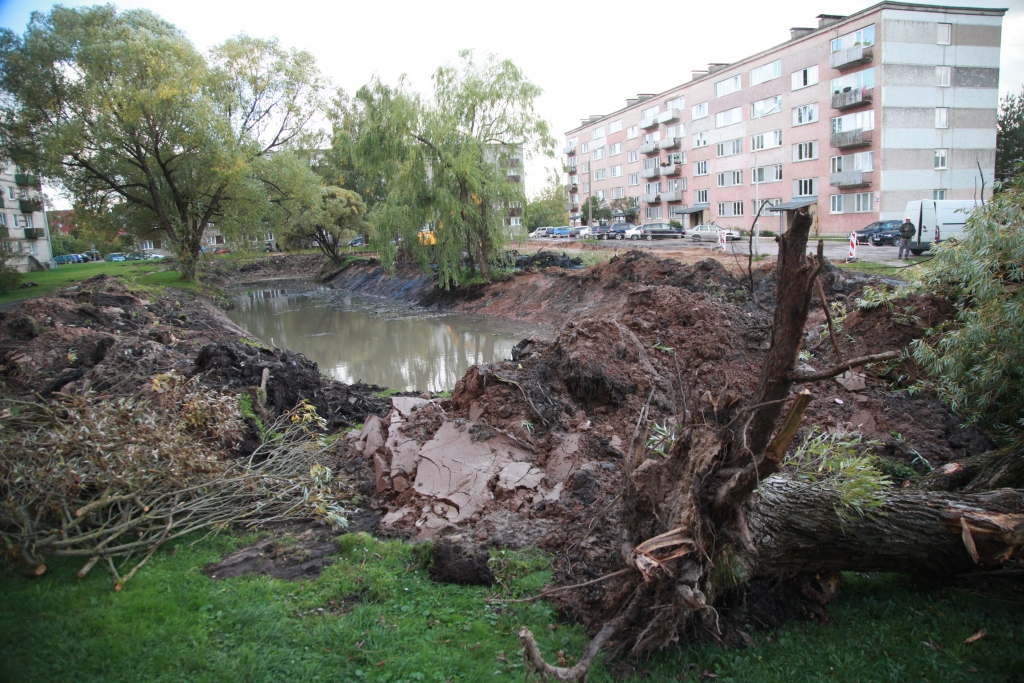 Visus kokus nelikvidēs