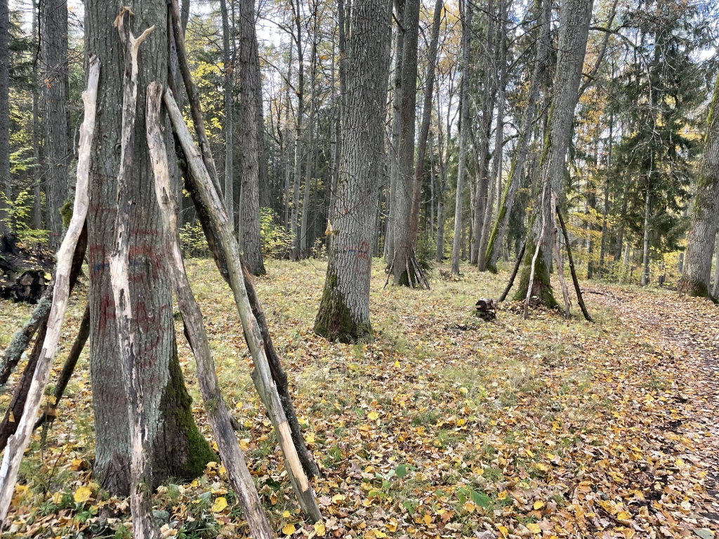 Pašvaldība vēlas taku ap Emzes dīķi veidot dabas izzināšanai