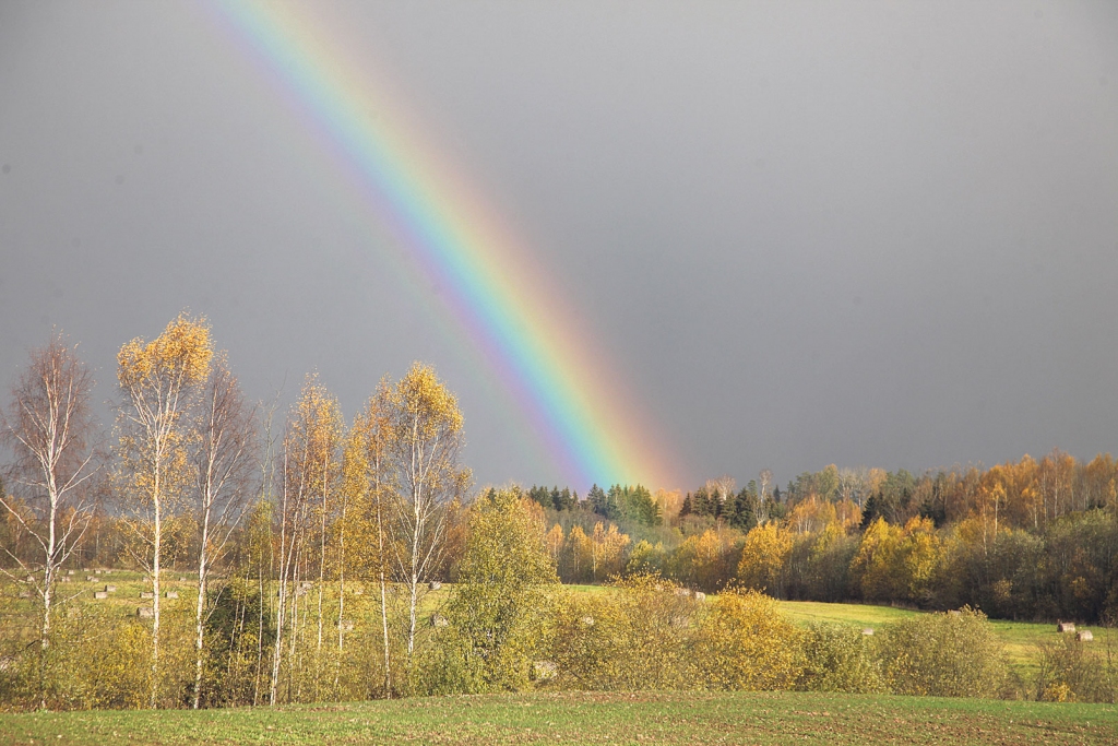 Novembra otrajā pusē jutīsim ziemas noskaņas